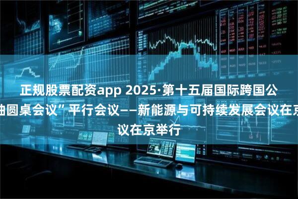 正规股票配资app 2025·第十五届国际跨国公司领袖圆桌会议”平行会议——新能源与可持续发展会议在京举行