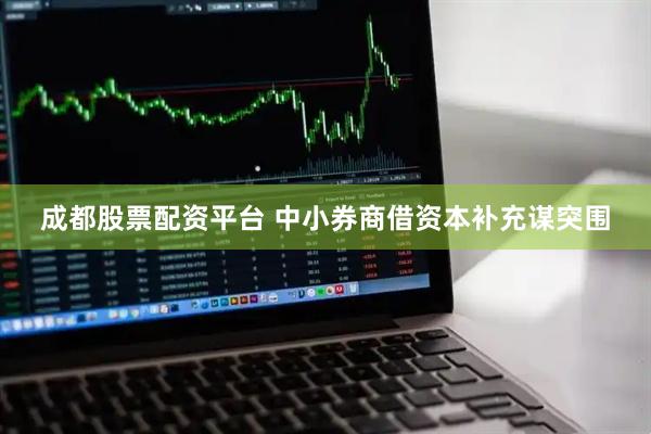 成都股票配资平台 中小券商借资本补充谋突围