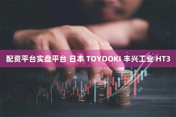 配资平台实盘平台 日本 TOYOOKI 丰兴工业 HT3